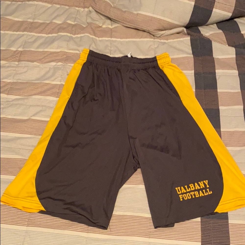 UAlbany Football Shorts